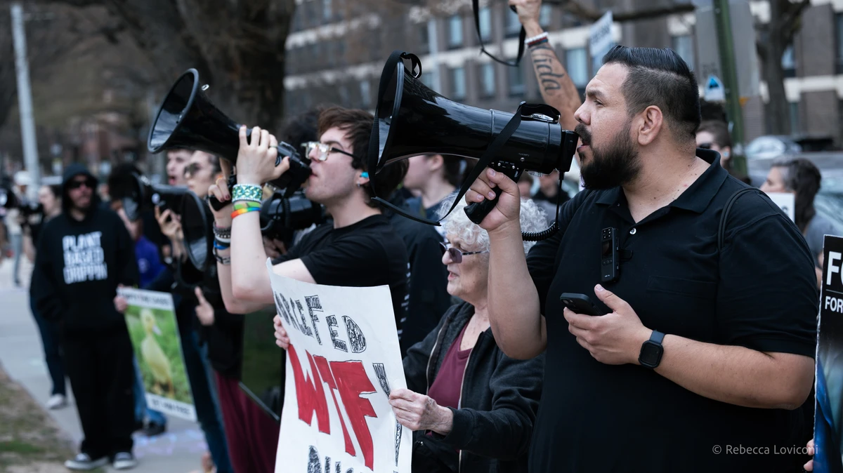Campaign organizing activities
