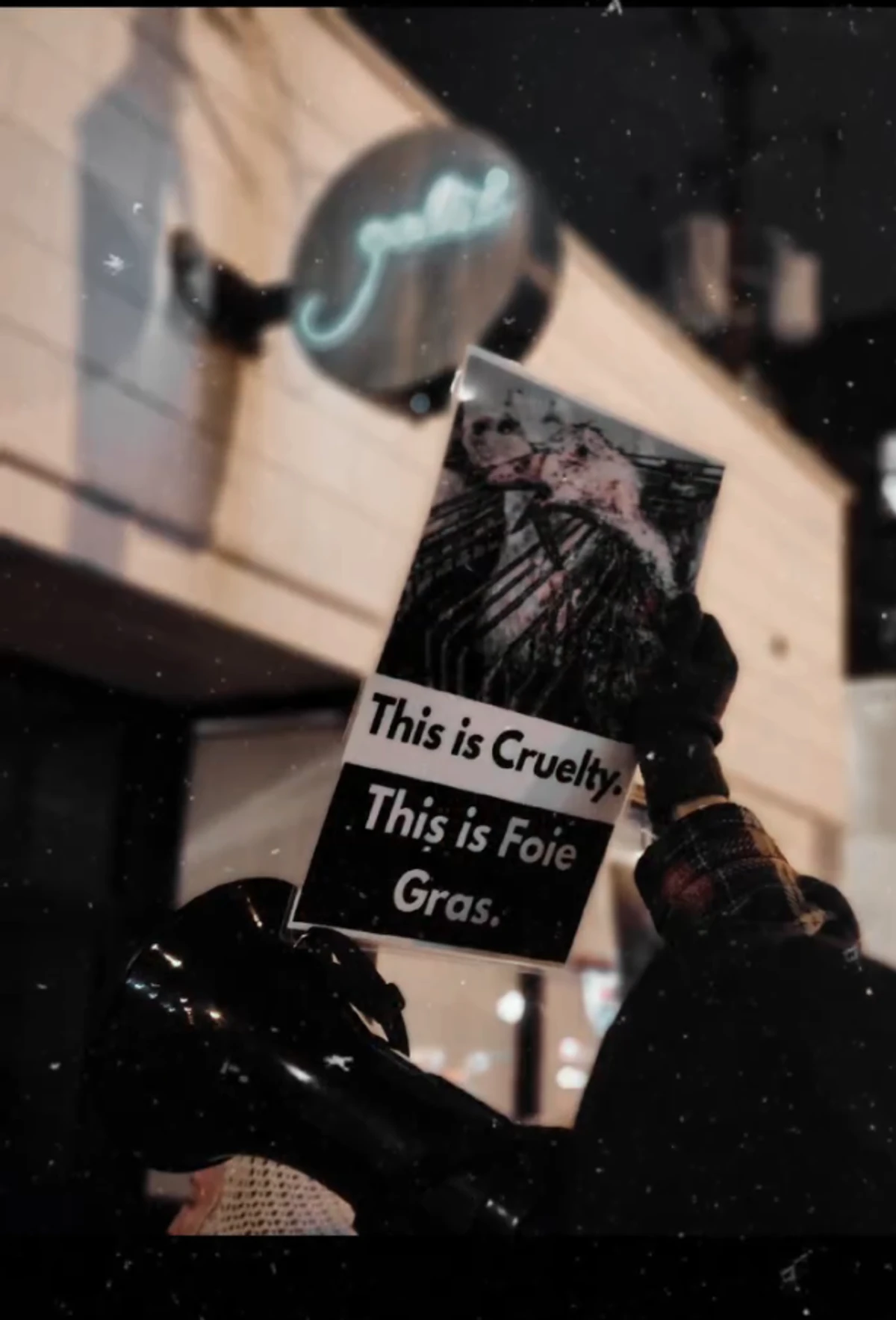 Animal rights activists