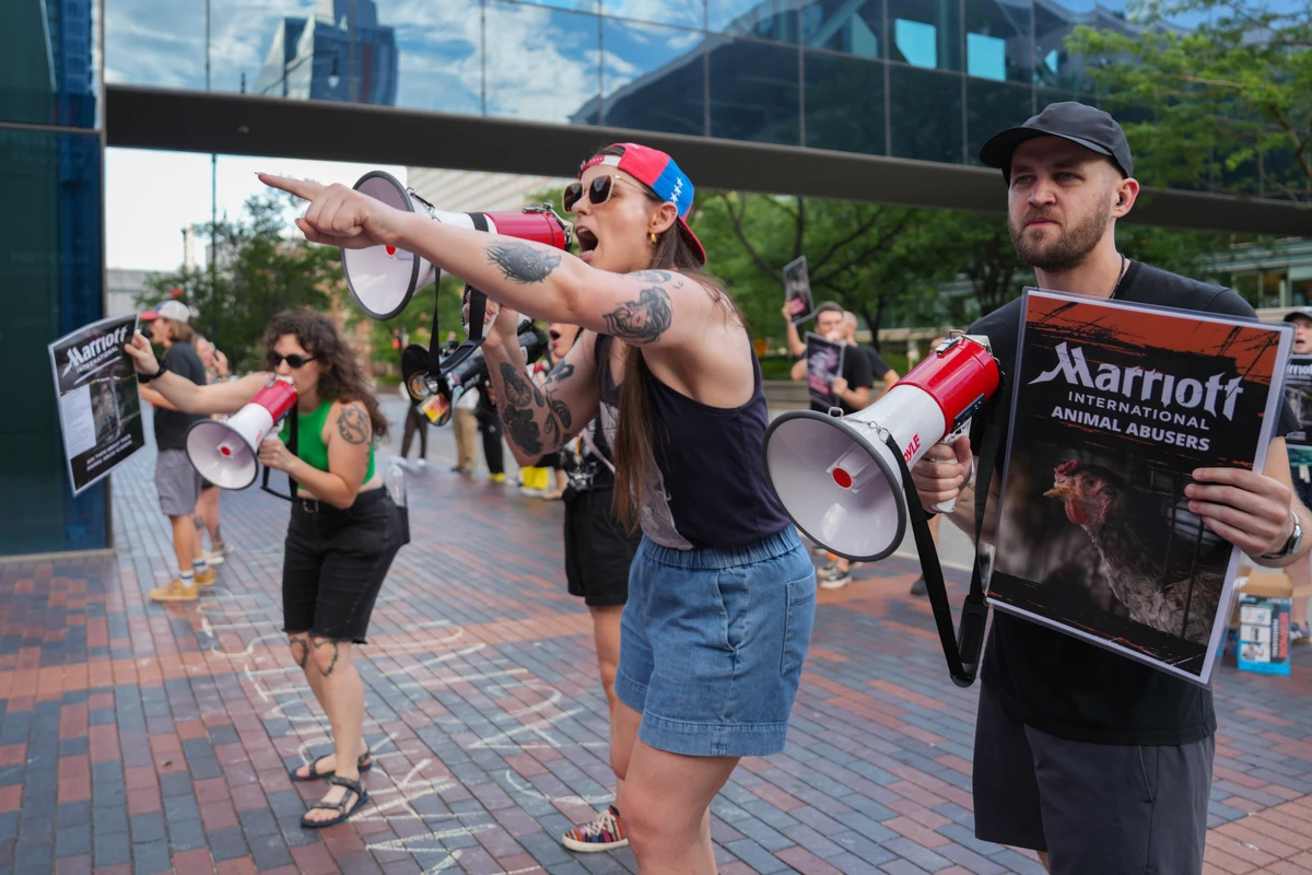 Animal rights activists